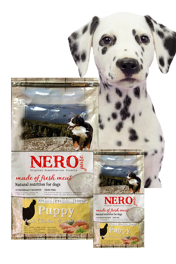 Nero PURE Puppy