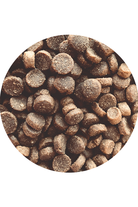 Proefpakket hond Nero Gold