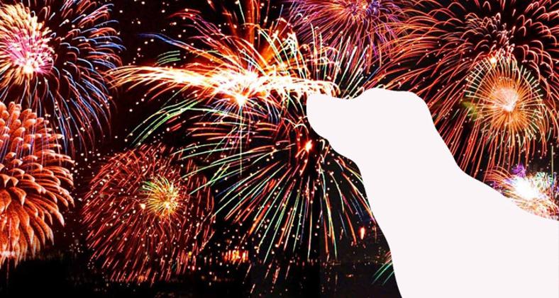 vuurwerk_hond_2