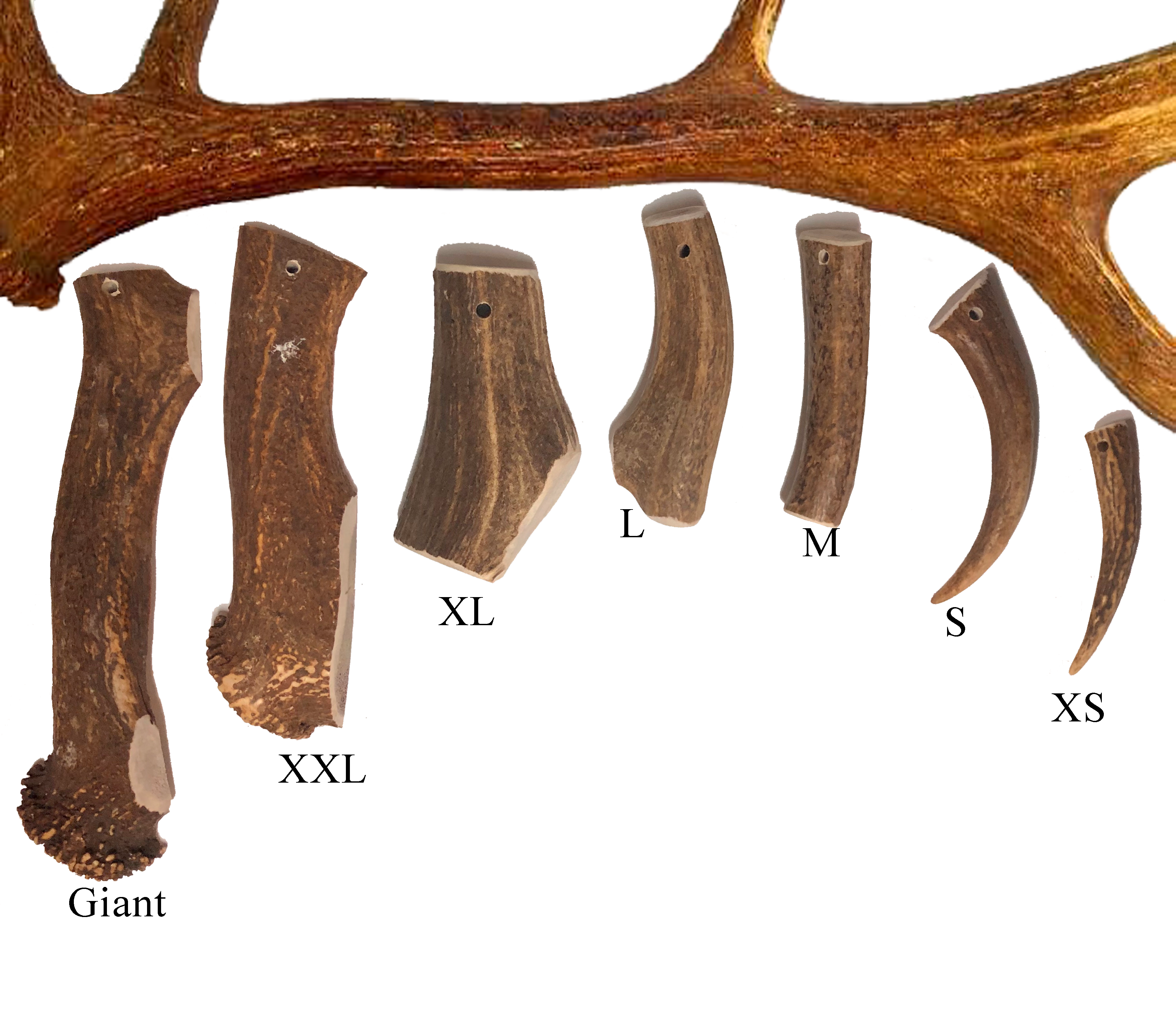 Hertengewei Original (Antlers)