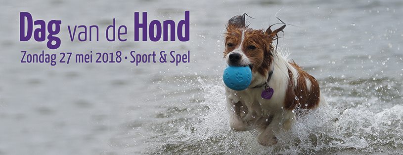 dag_van_de_hond