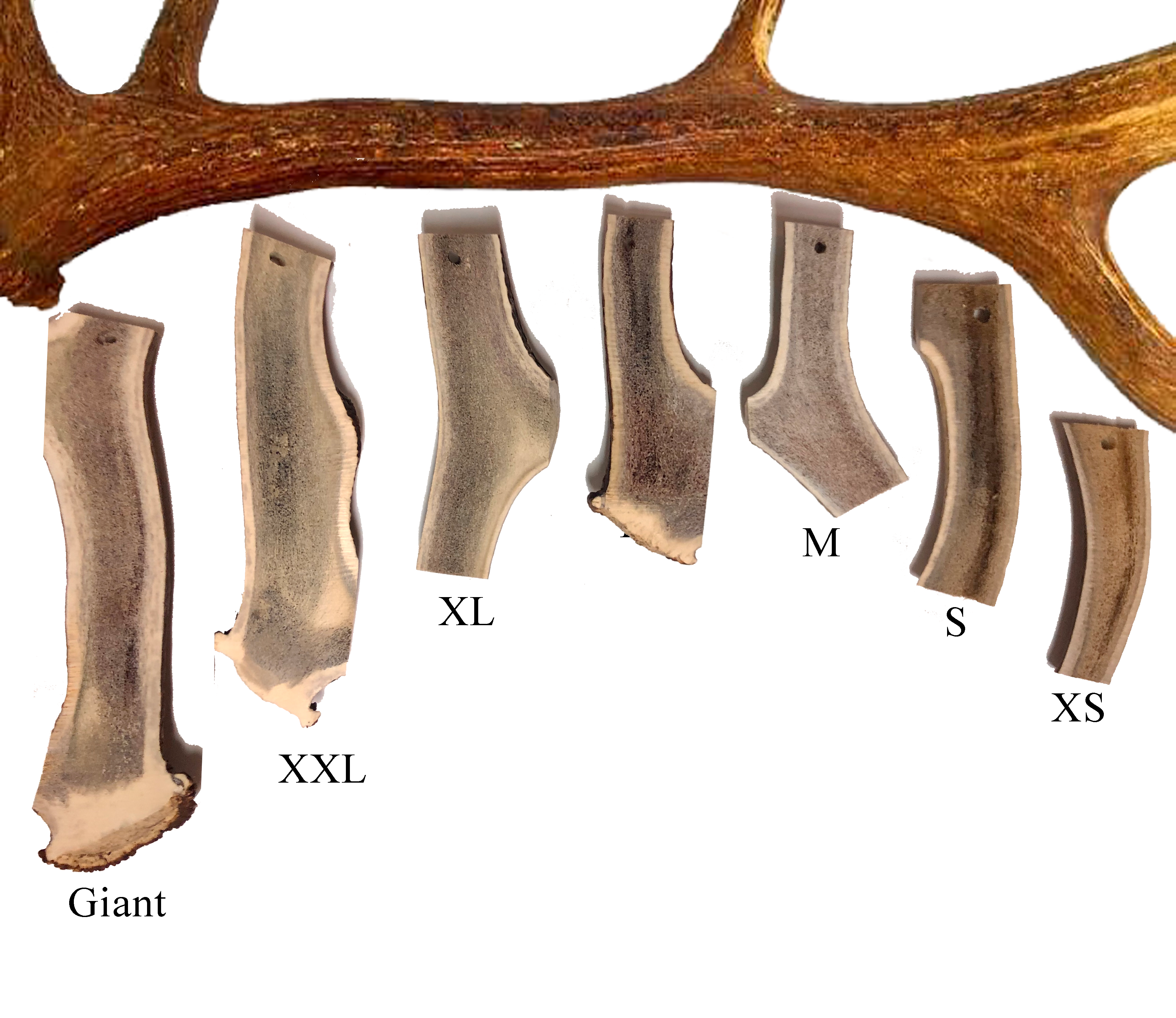 Hertengewei Easy (Antlers)