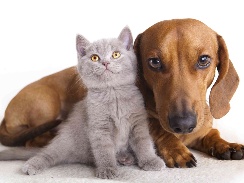 3a7fa991b5bb04c57c935d82bc6727a7