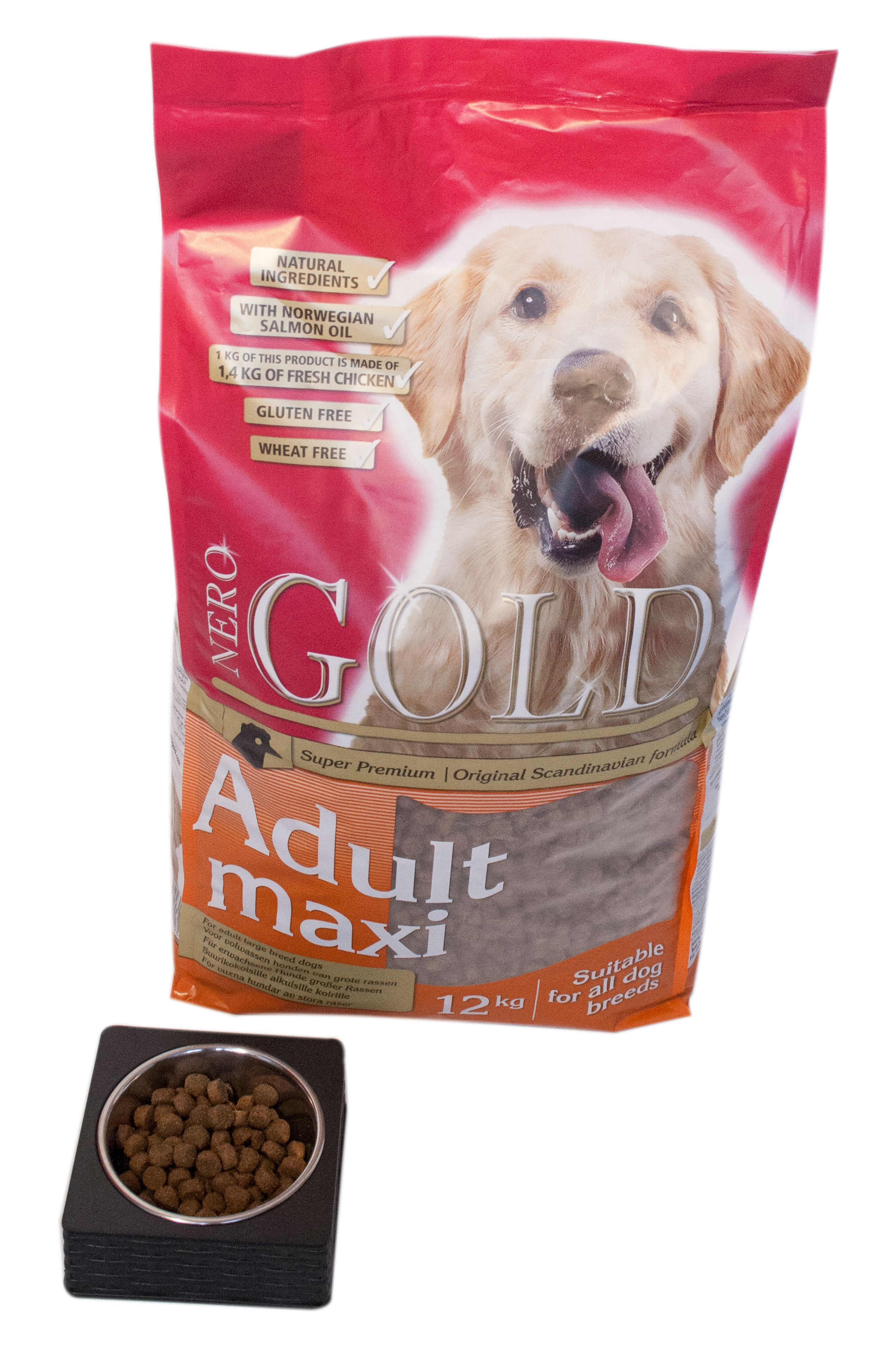 Nero Gold Hond Adult Maxi