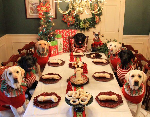 kerst_vieren_honden_1