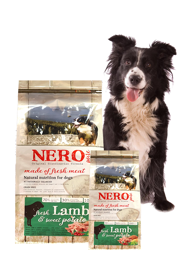 Nero PURE Adult verse Lam