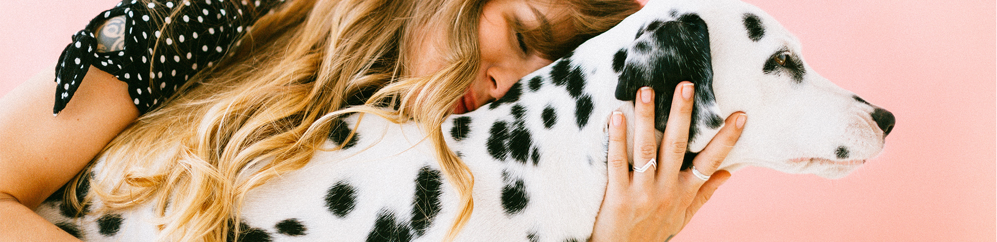 huidproblemen-bij-hond