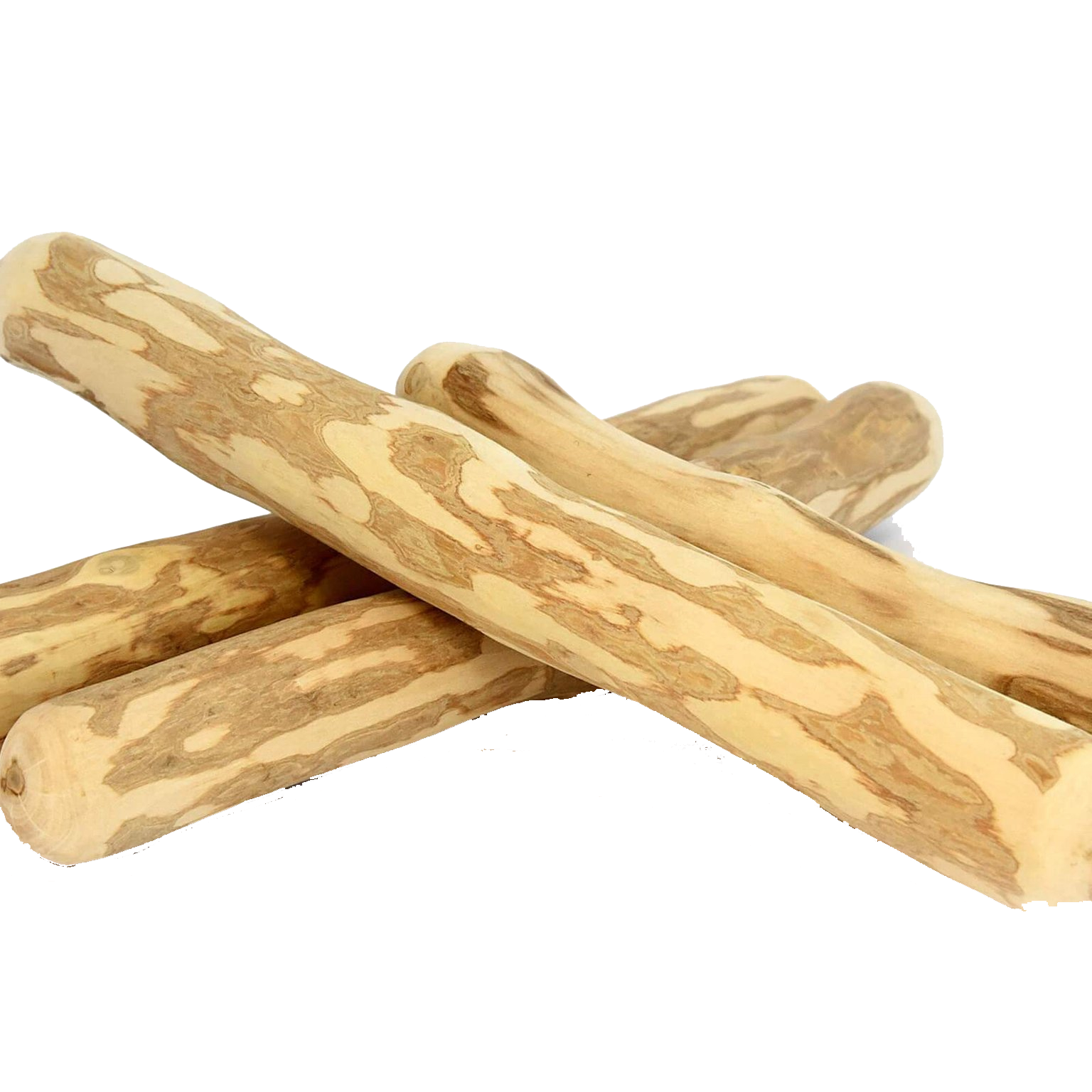 Koffieboom Kauwwortel