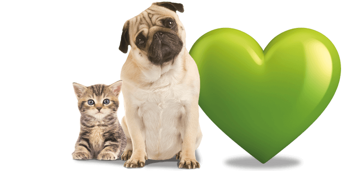 verzekering_huisdier